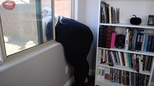 www.sydneyscreams4u.com - 2044. Olivia Jaide Gets Stuck in Window thumbnail